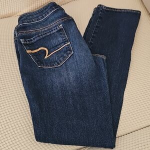 American Eagle Outfitters Navy Skinny Jeans
